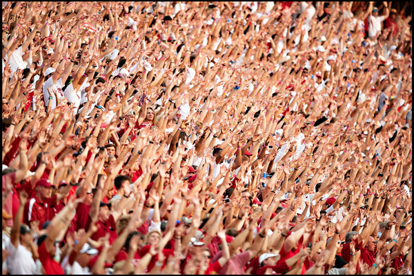 Calling The Hogs