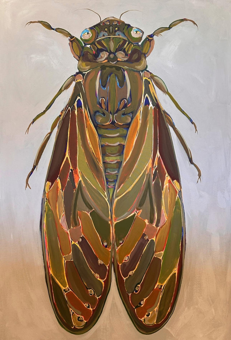 Cicada