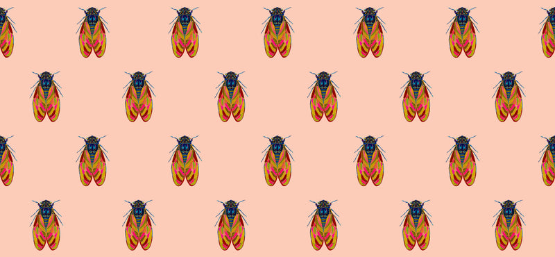17 Years Wallpaper by Buddy Whitlock- Blush