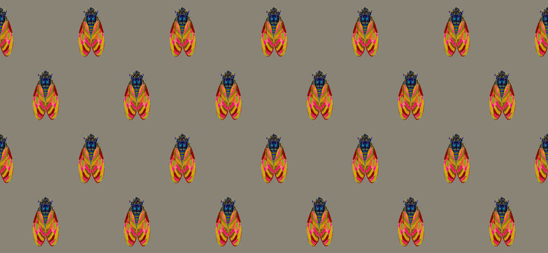 17 Years Wallpaper by Buddy Whitlock- Taupe