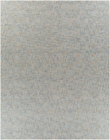 Aiden Rug