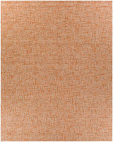 Aiden Rug