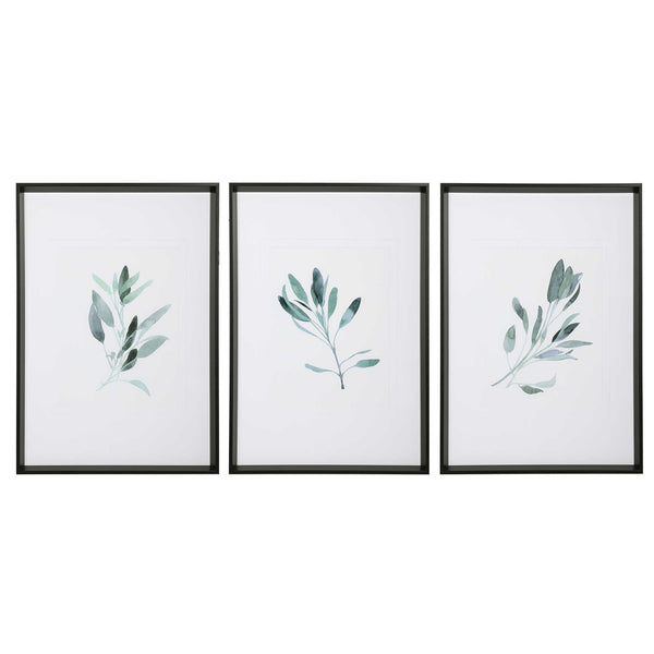 Simple Sage Framed Prints